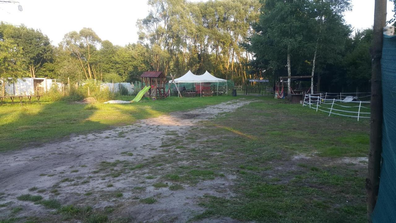 Glamping Z Alpakami Otel Jankowice  Dış mekan fotoğraf