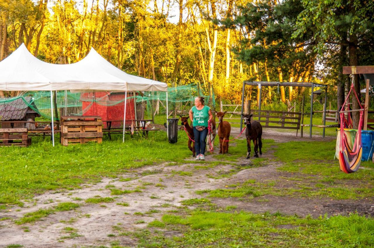 Glamping Z Alpakami Otel Jankowice  Dış mekan fotoğraf